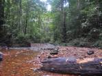 Witti Creek, na Reserva Natural de Brownsberg, no Suriname